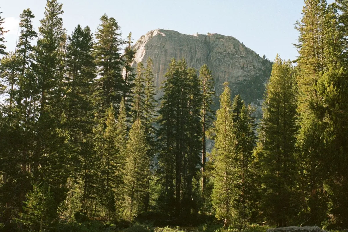 Tuolumne River